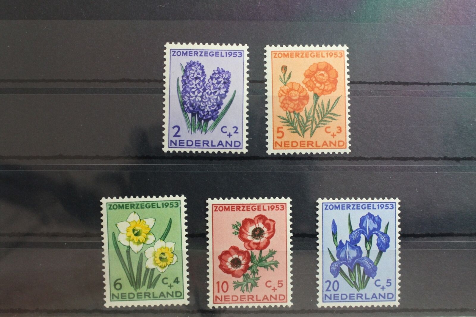 Niederlande 607-611 ** Postfrisch Blumen Blüten Natur #su382